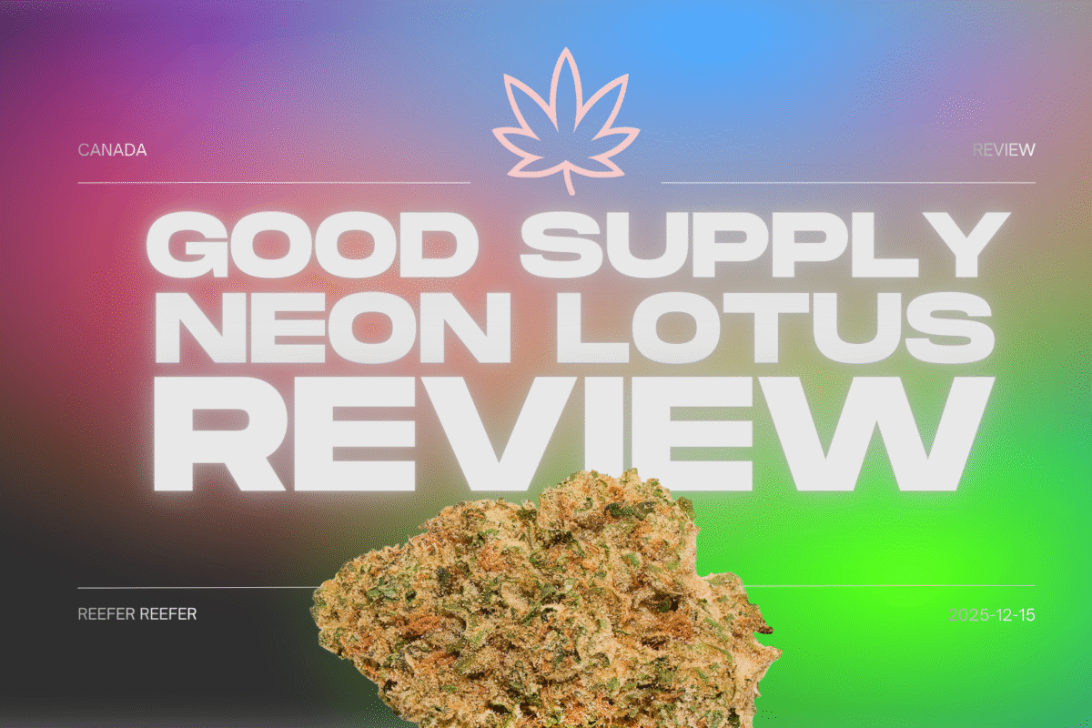 Neon Lotus – Good Supply