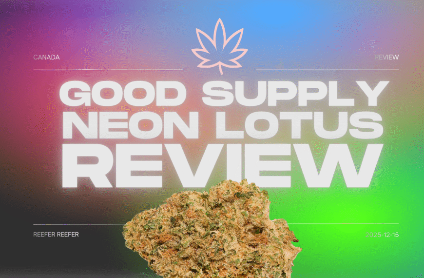 Neon Lotus – Good Supply